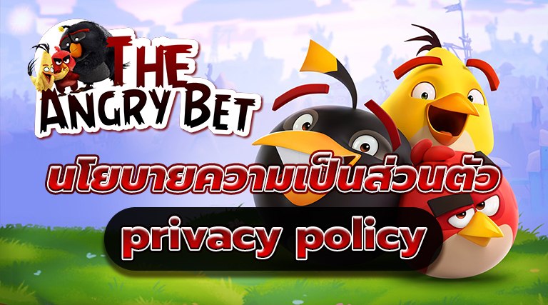 นโยบายความเป็นส่วนตัว